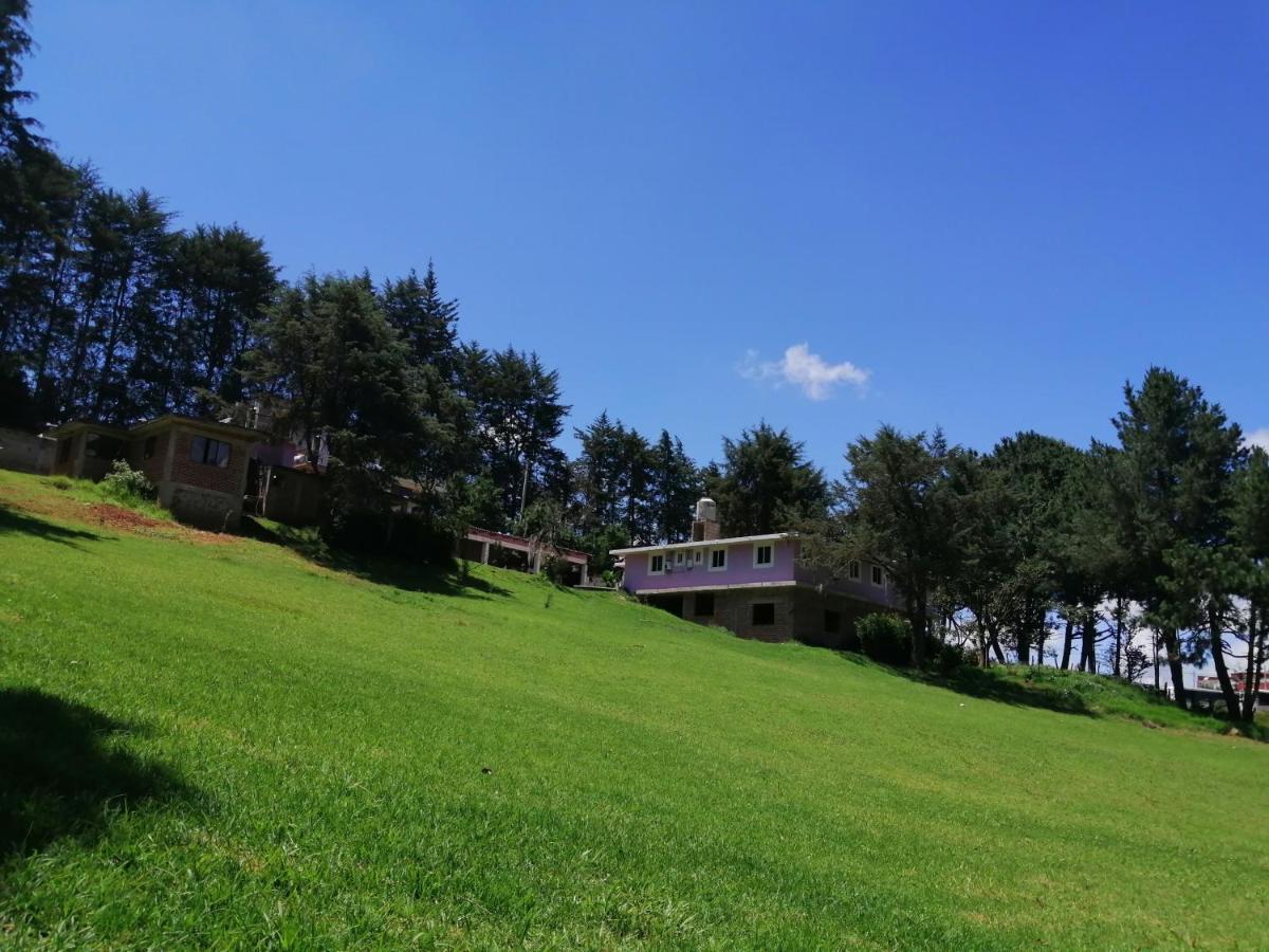 Pensión Bosques *