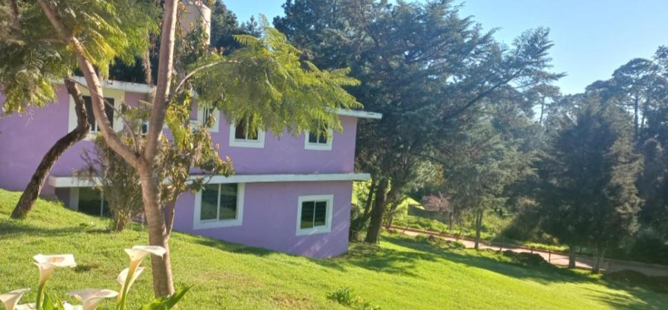Pensión Bosques