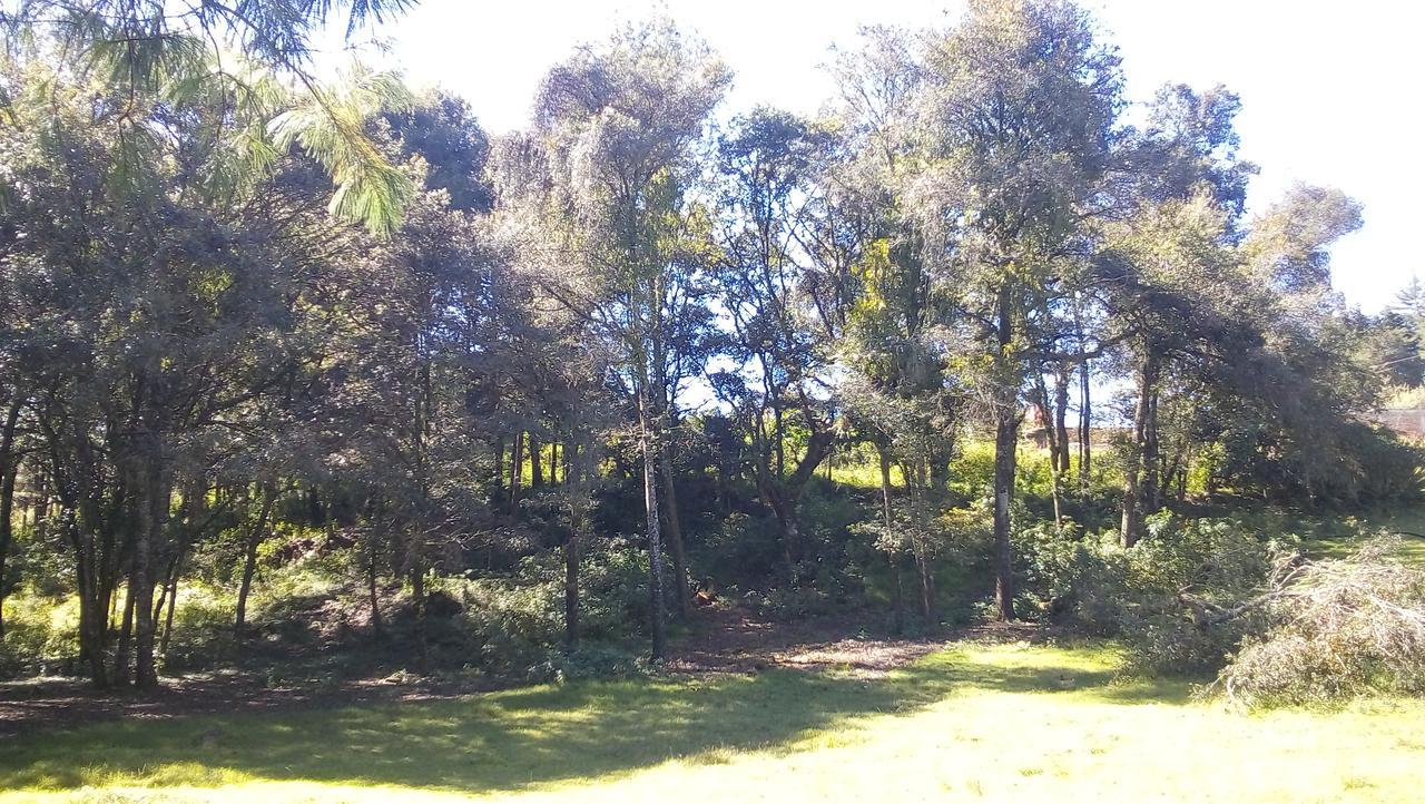 Bosques Pensión Zacatlán