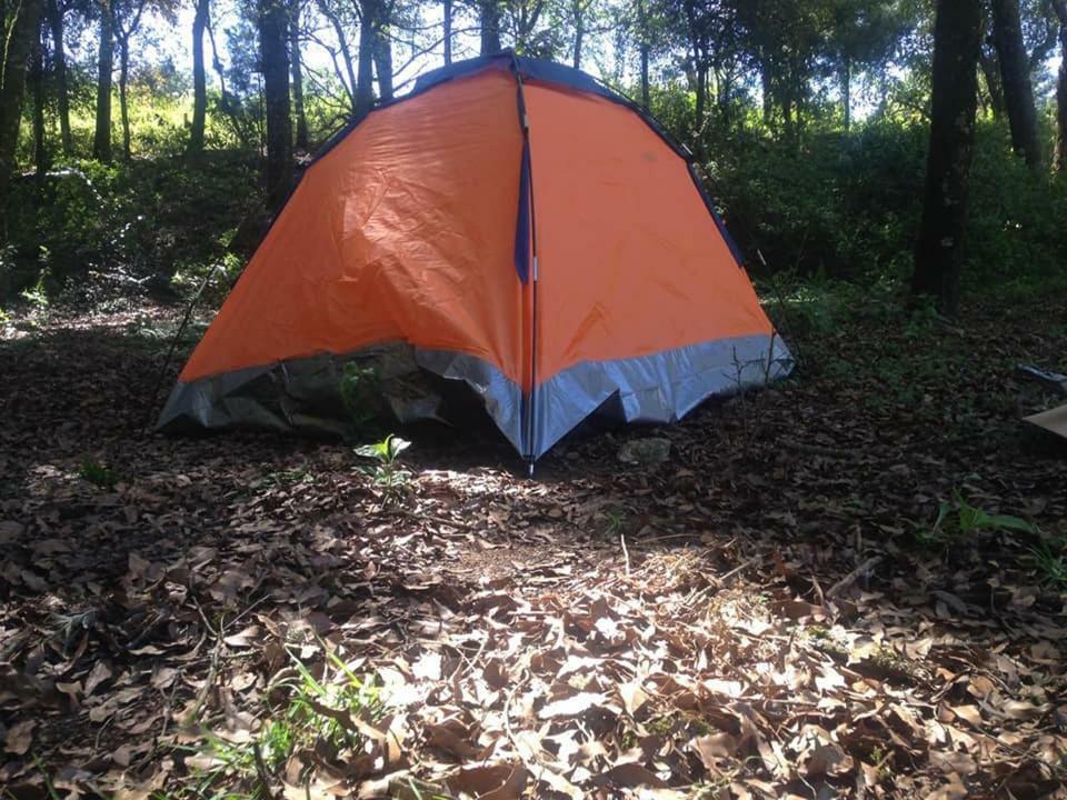 Bosques Pensión Zacatlán