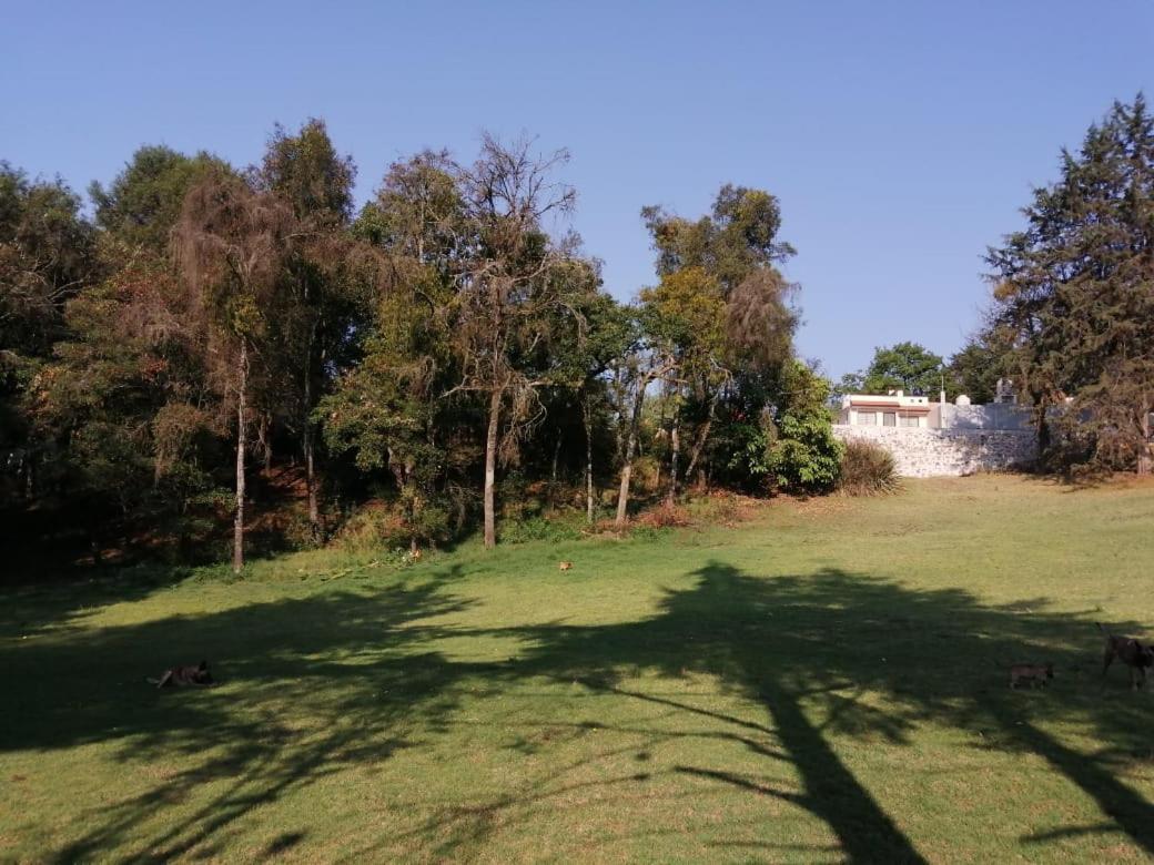 Bosques * Zacatlán