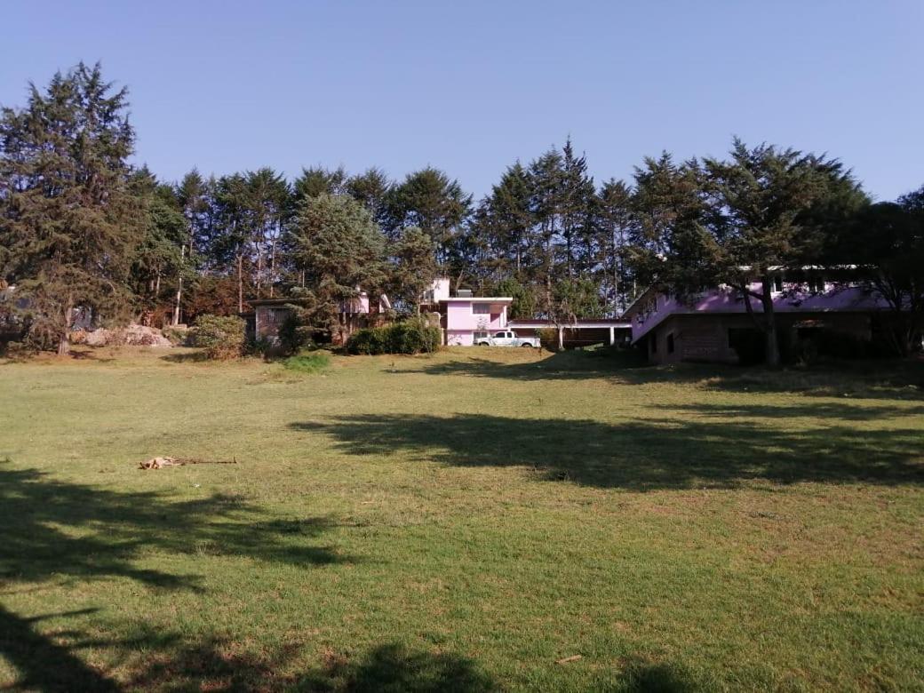 Bosques * Zacatlán